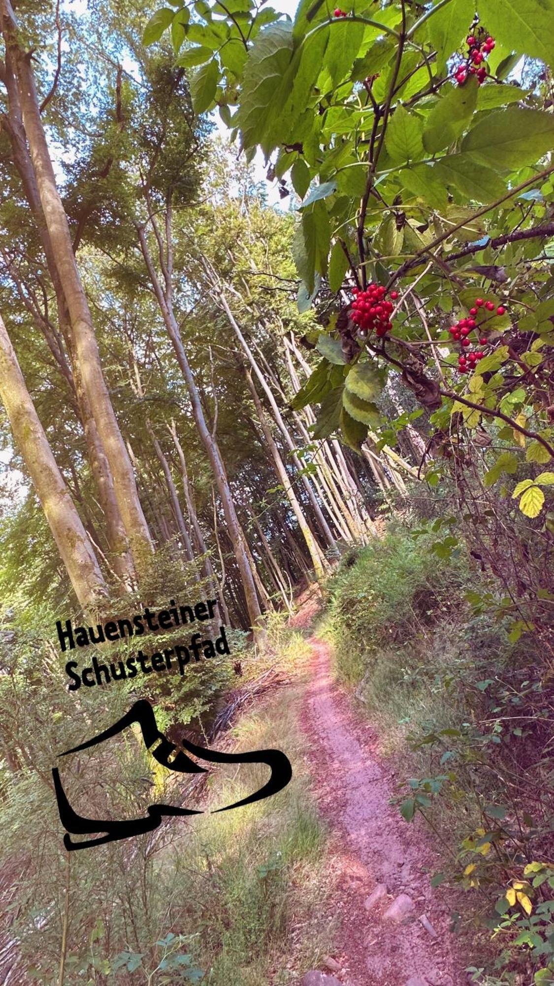 Heimatliebe Fuenf *